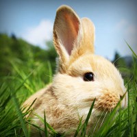 /album/producto-innovador-tecnologico-/photolia-a03-jpg/