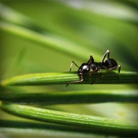 /album/producto-innovador-tecnologico-/photolia-a05-jpg/